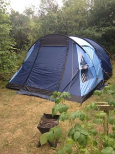 Camping in Suffolk